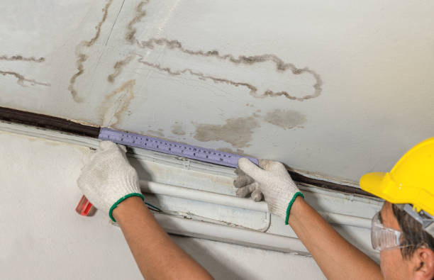 Reliable Burst Pipe Cleanup contractor in Mack, CO by Water Damage Irwin